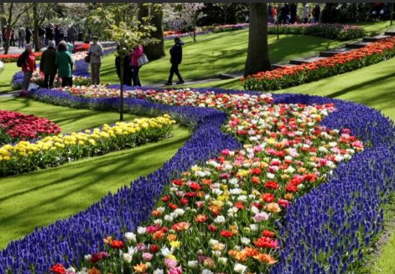 Keukenhof Gardens near Amsterdam - season lost.